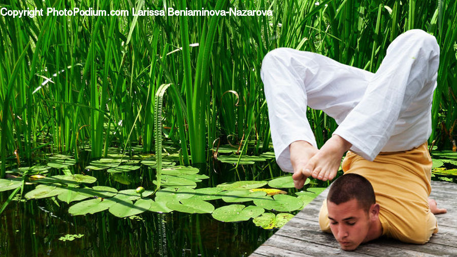 People, Person, Human, Outdoors, Pond, Water, Blossom