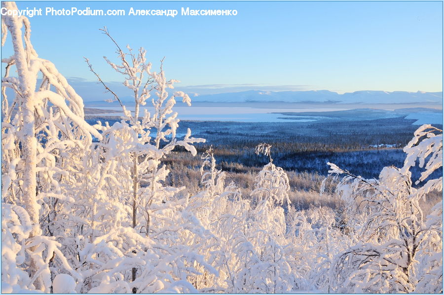 Frost, Ice, Outdoors, Snow, Field, Grass, Grassland