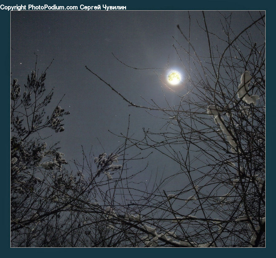 Astronomy, Full Moon, Night