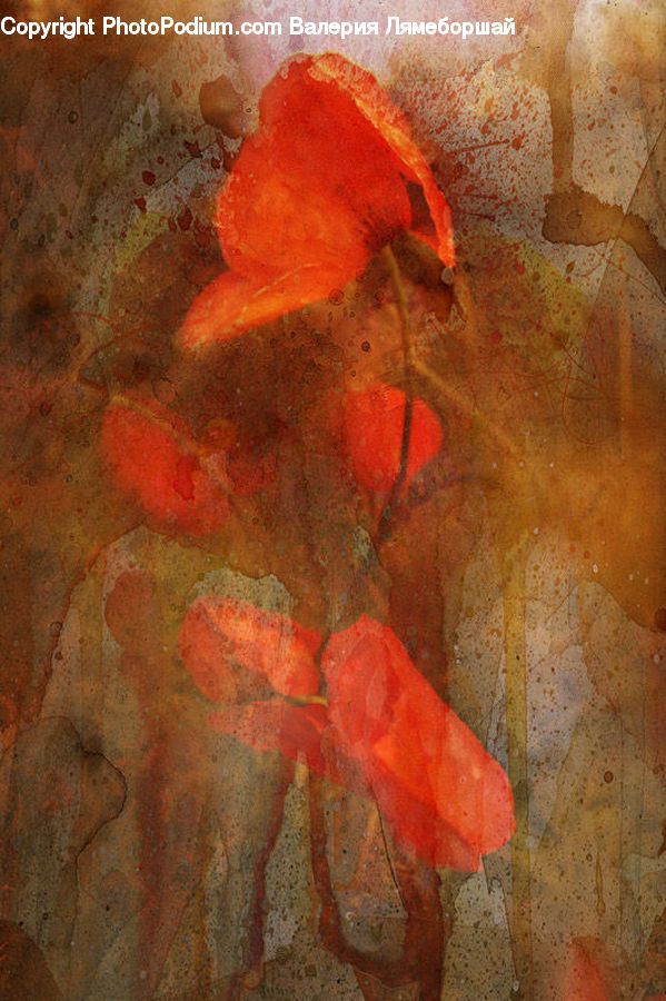Maple, Maple Leaf, Plant, Art, Modern Art, Blossom, Flora