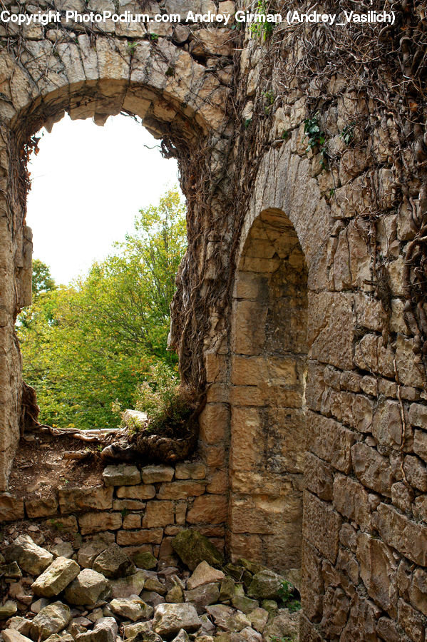 Ruins, Castle, Fort, Rock, Outdoors, Plant, Tree
