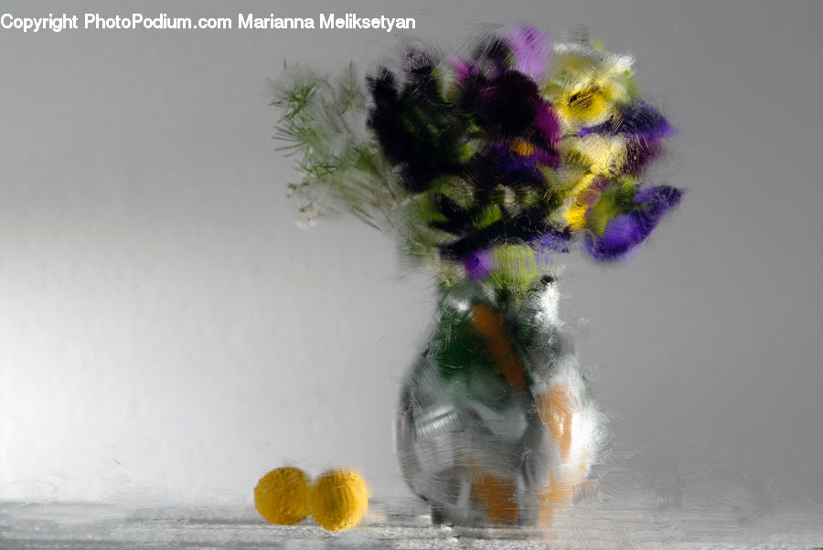Flora, Flower, Plant, Thistle, Weed, Potted Plant, Flower Arrangement