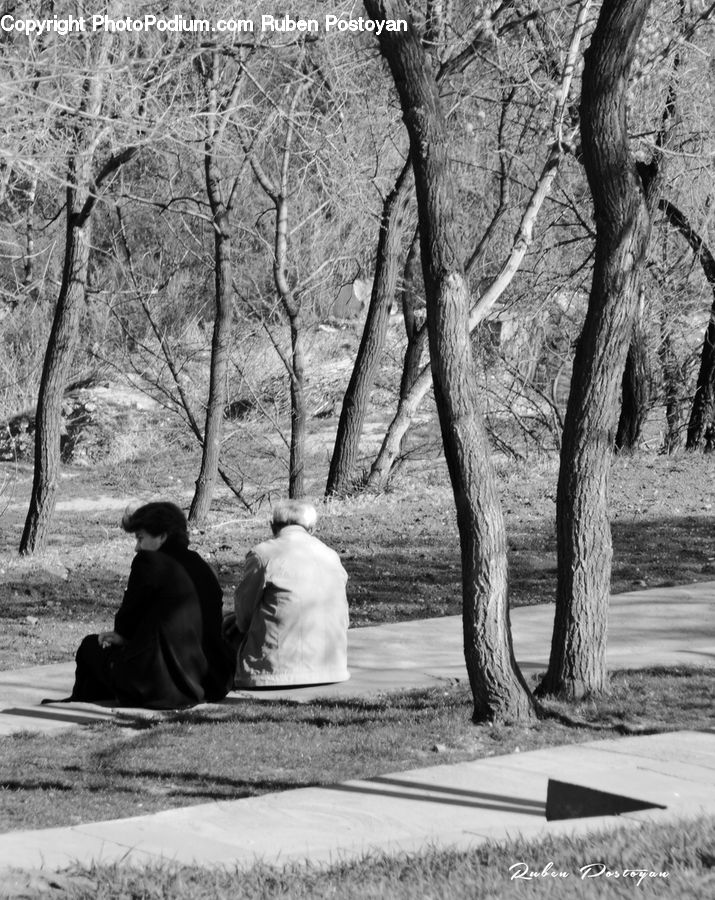 People, Person, Human, Blossom, Flora, Flower, Plant