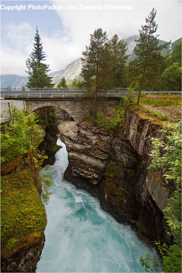 Conifer, Larch, Tree, Wood, Cliff, Outdoors, Creek