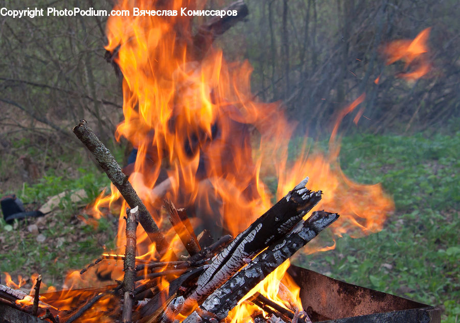 Carp, Fish, Sea Life, Fire, Flame, Bonfire, Campfire