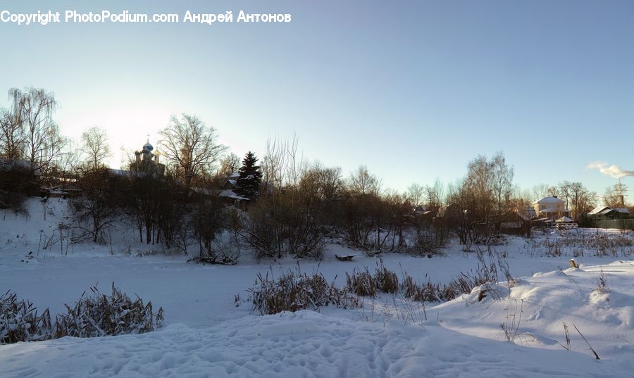 Outdoors, Plateau, Arctic, Snow, Winter, Conifer, Fir