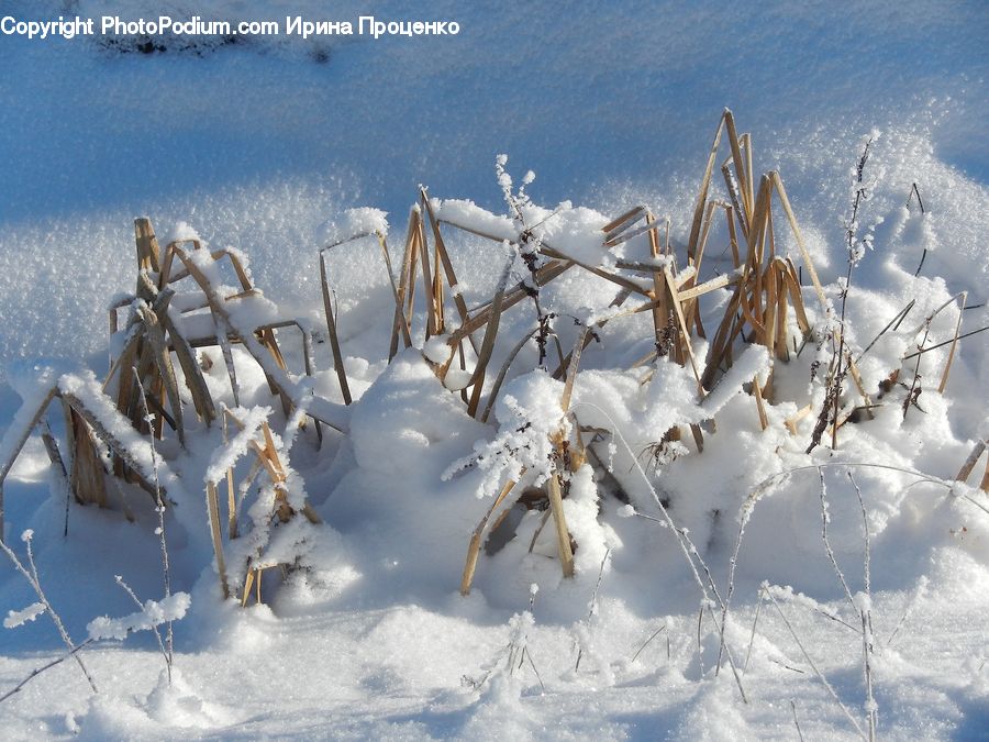 Ice, Outdoors, Snow, Blizzard, Weather, Winter, Frost