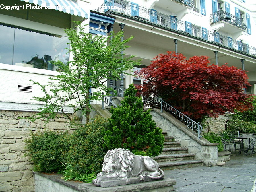 Art, Sculpture, Statue, Bonsai, Plant, Potted Plant, Tree