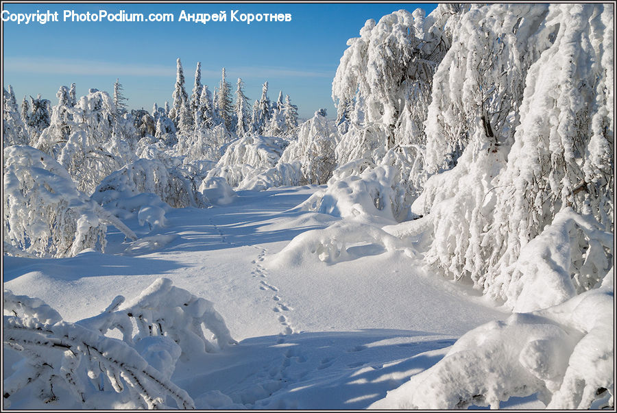 Arctic, Glacier, Ice, Mountain, Outdoors, Snow, Landscape