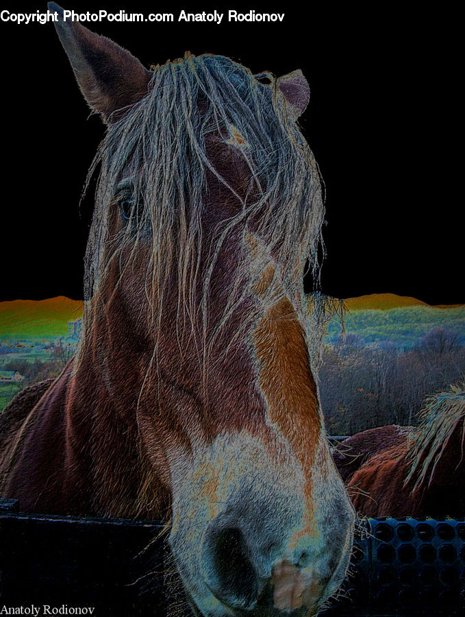 Animal, Colt Horse, Foal, Horse, Mammal, Art