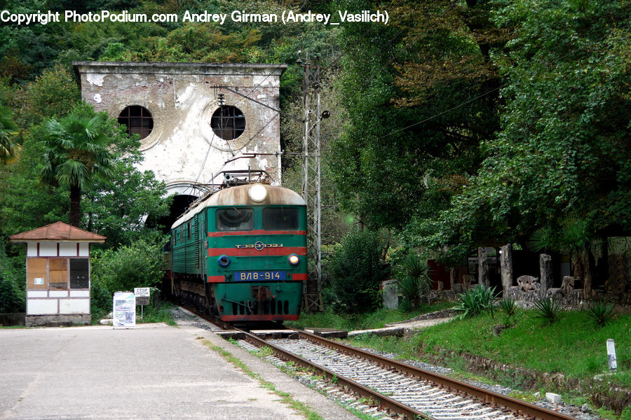 Train, Vehicle, Rail, Train Track, Tomb, Freight Car, Shipping Container