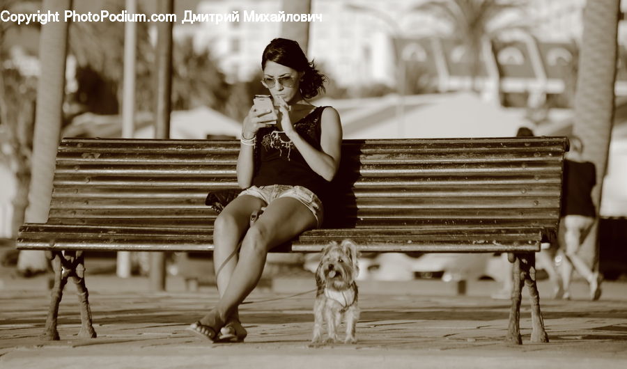 Female, Person, Bench, Portrait, Selfie, Animal, Canine