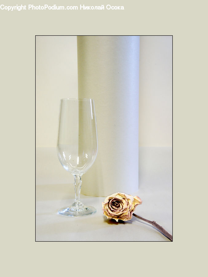 Glass, Goblet, Blossom, Flower, Plant, Rose, Flower Arrangement