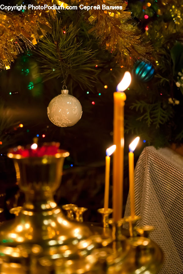Candle, Plant, Potted Plant, Fire, Flame, Lighting, Fountain