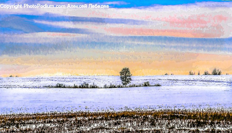 Frost, Ice, Outdoors, Snow, Field, Grass, Grassland