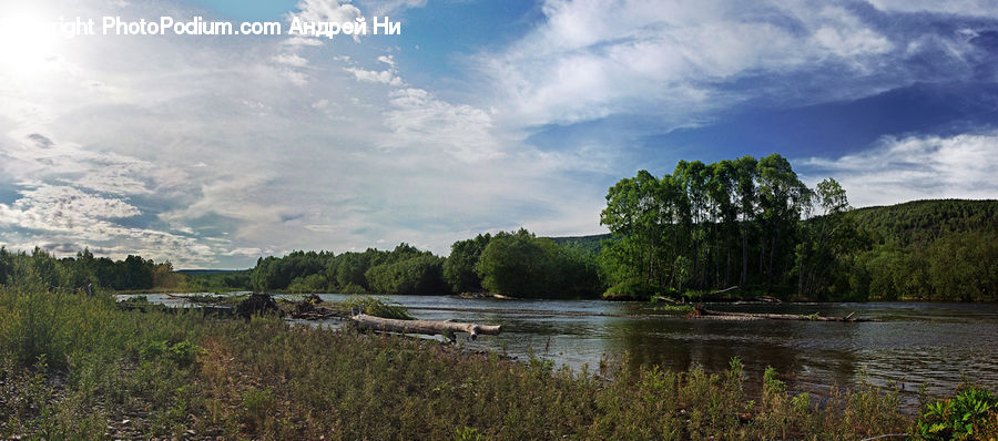 Outdoors, River, Water, Forest, Vegetation, Grove, Land