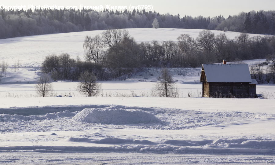 Cabin, Hut, Rural, Shack, Shelter, Landscape, Nature