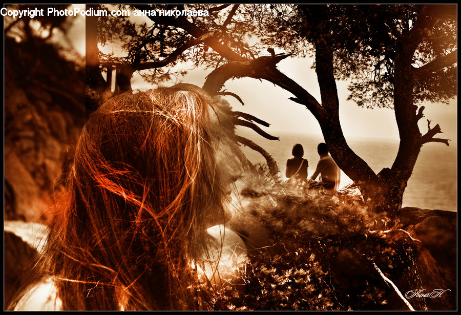 Bonfire, Campfire, Camping, Fire, Flame, Flare, Light