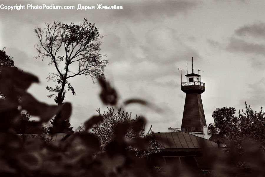 Beacon, Building, Lighthouse, Water Tower, Architecture, Tower, Plant