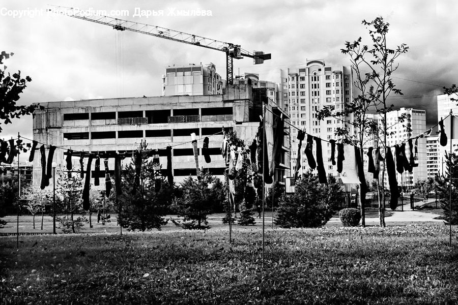 Constriction Crane, Bench, City, Downtown, Urban, Cross, Construction