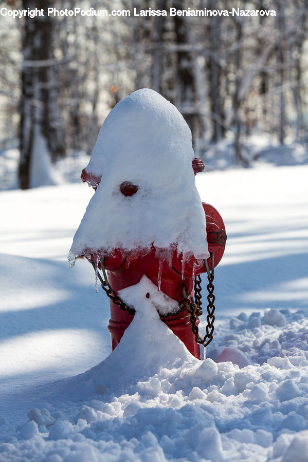 Ice, Snow, Snowman, Winter, People, Person, Human