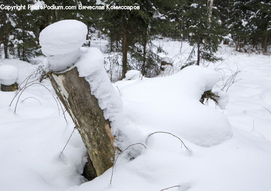 Ice, Snow, Snowman, Winter, Outdoors