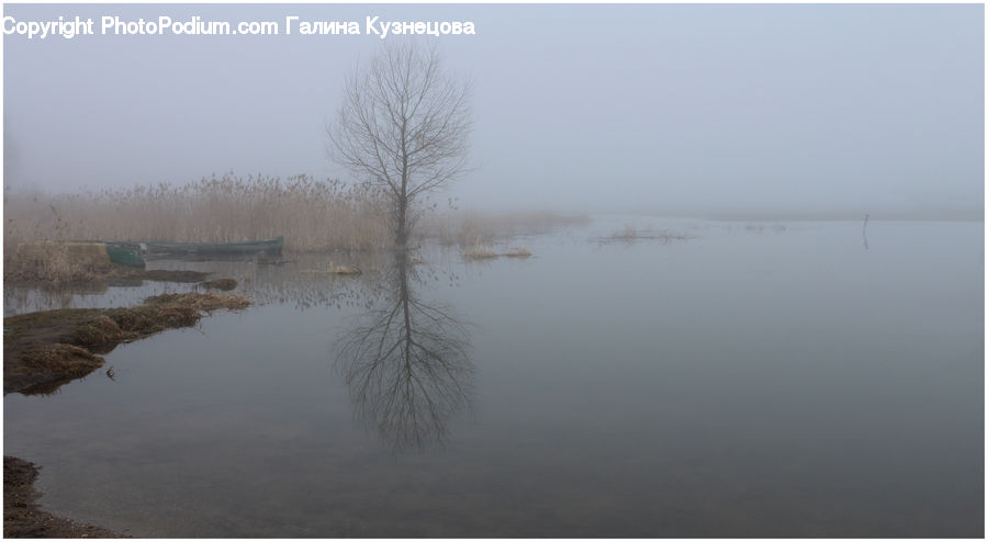 Flood, Landscape, Nature, Scenery