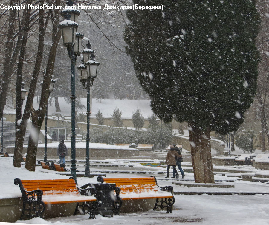 Bulldozer, Snowplow, Vehicle, Bench, Blizzard, Outdoors, Snow