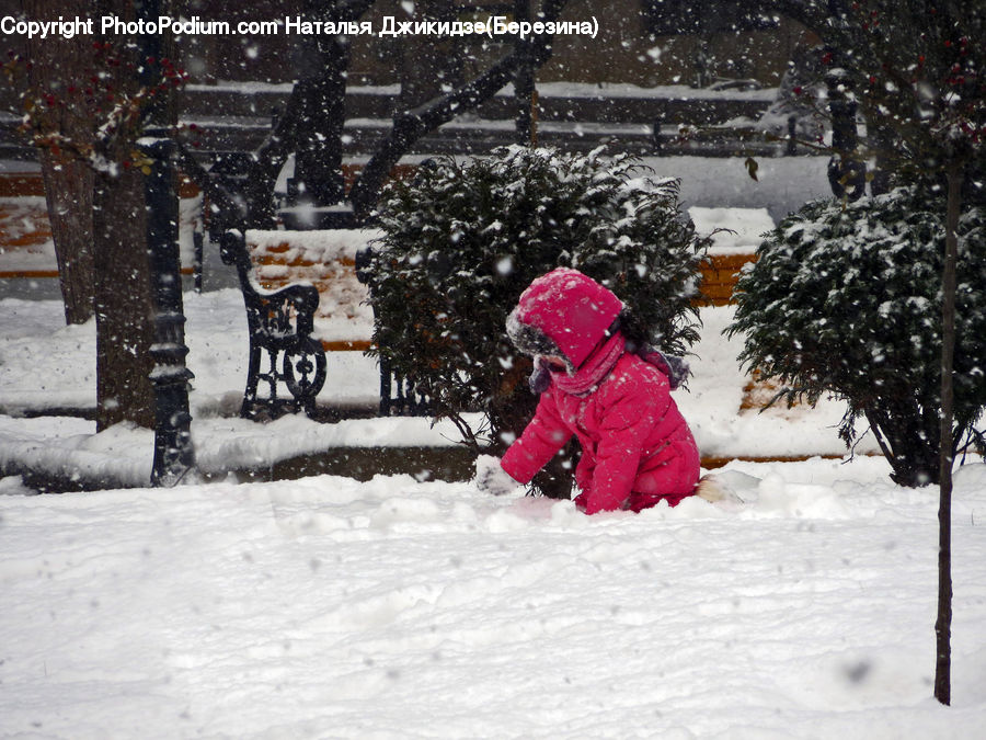 People, Person, Human, Ice, Outdoors, Snow, Blizzard