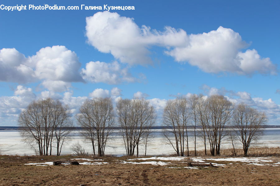 Cloud, Cumulus, Sky, Azure Sky, Outdoors, Dirt Road, Gravel
