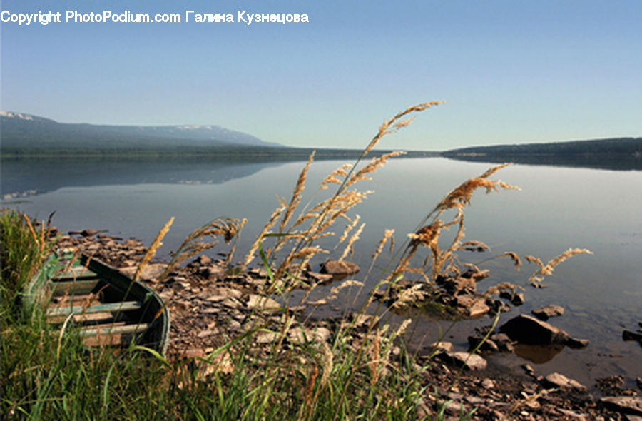 Boat, Rowboat, Vessel, Field, Grass, Grassland, Plant