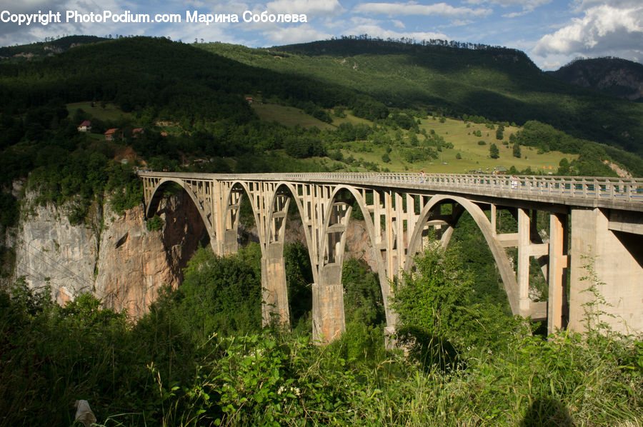 Bridge, Viaduct, Herbal, Herbs, Plant, Planter, Field