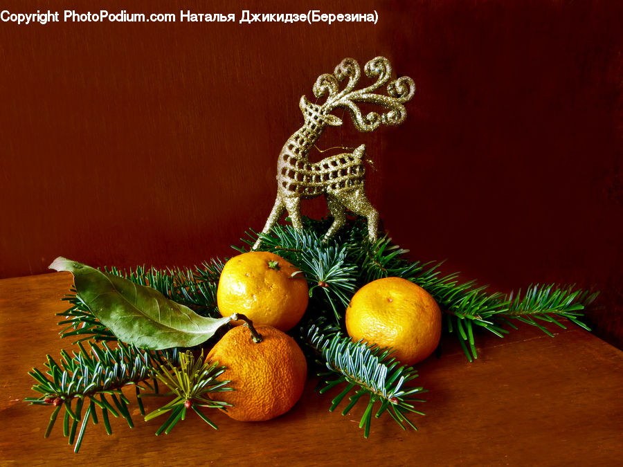 Citrus Fruit, Fruit, Grapefruit, Conifer, Fir, Plant, Tree