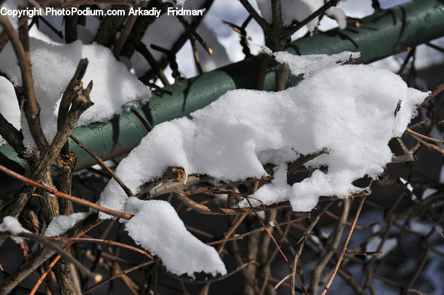 Ice, Outdoors, Snow, Frost, Cotton, Fiber, Adorable