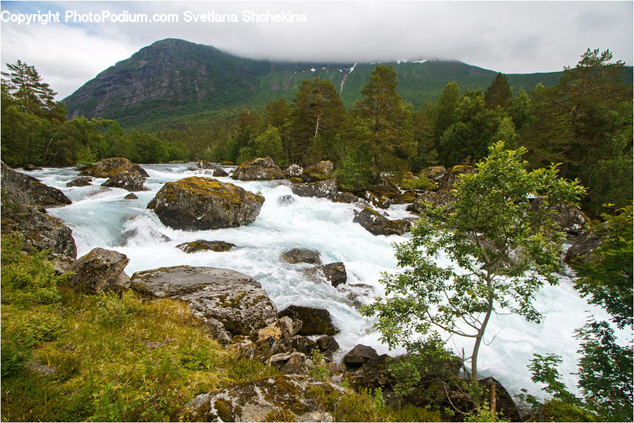 Creek, Outdoors, River, Water, Nature, Rock, Forest