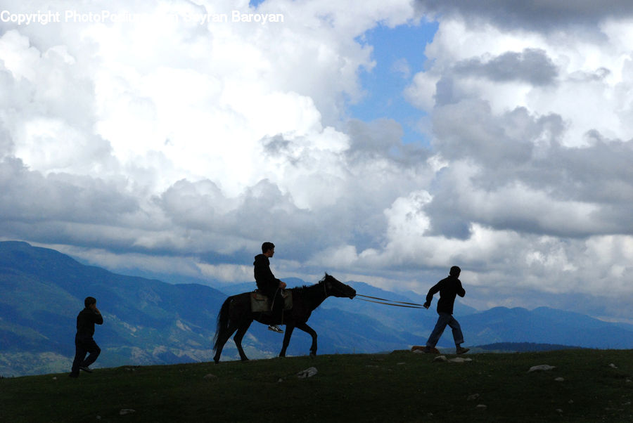 Animal, Horse, Mammal, Stallion, Equestrian, Person, Leisure Activities