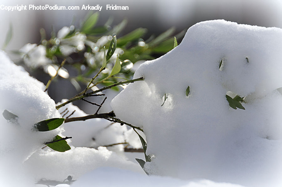 Ice, Outdoors, Snow