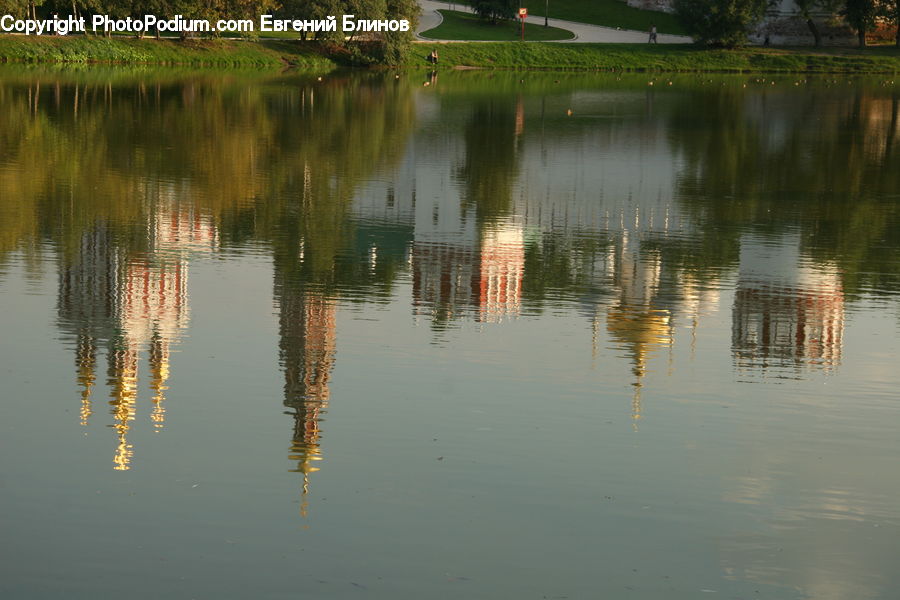 Outdoors, Pond, Water, Park, Field, Grass, Grassland