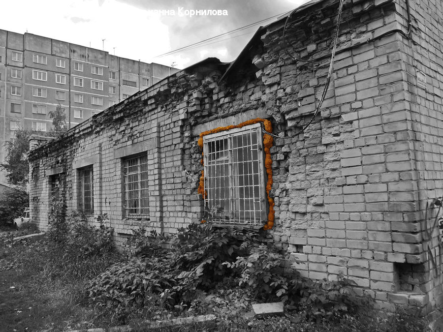 Ivy, Plant, Vine, Building, Cottage, Housing, Brick