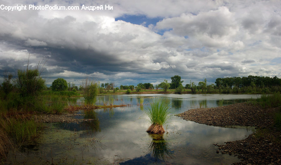 Land, Marsh, Pond, Swamp, Water, Hotel, Resort