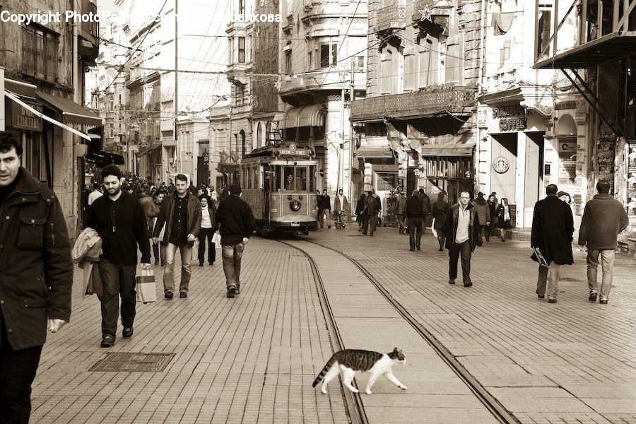 People, Person, Human, Alley, Alleyway, Road, Street