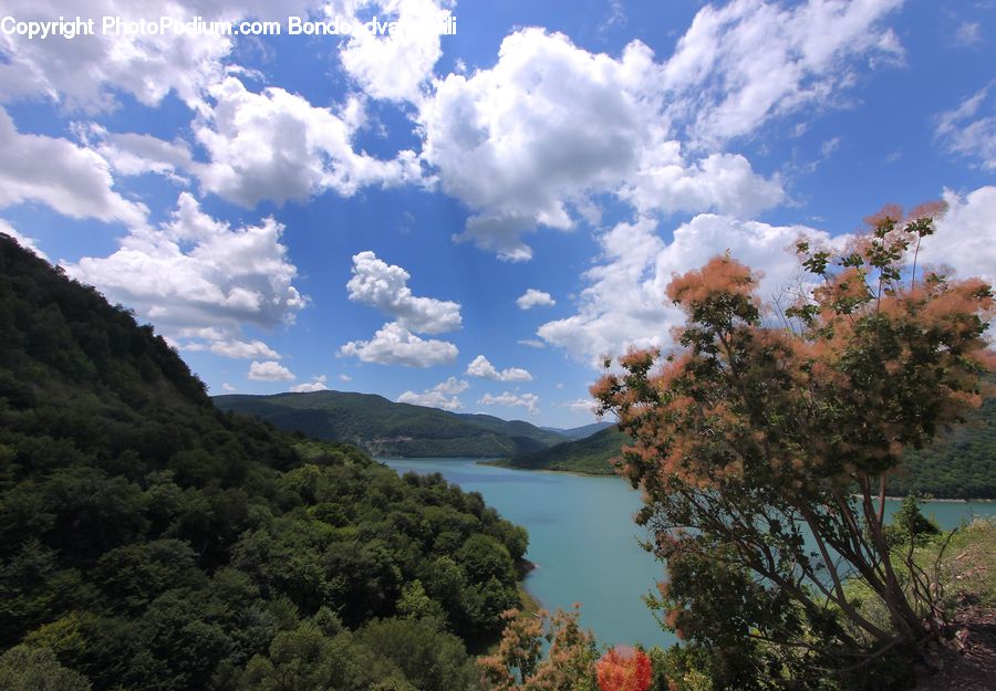 Landscape, Nature, Scenery, Cloud, Cumulus, Sky, Azure Sky