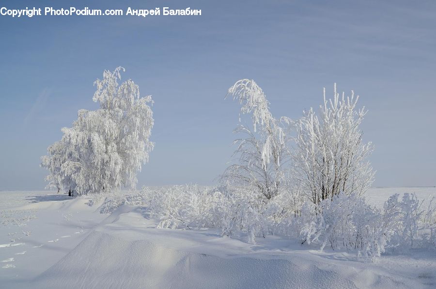 Frost, Ice, Outdoors, Snow, Landscape, Nature, Scenery