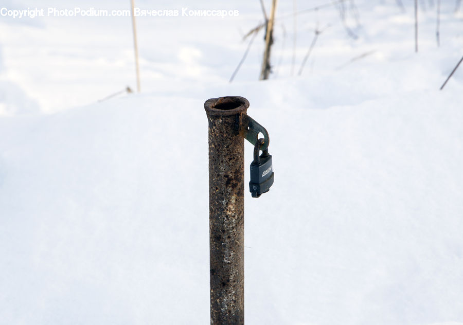 Bird Feeder