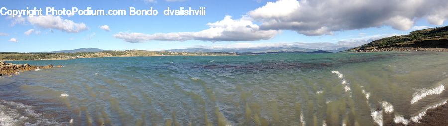 Field, Grass, Grassland, Plant, Beach, Coast, Outdoors