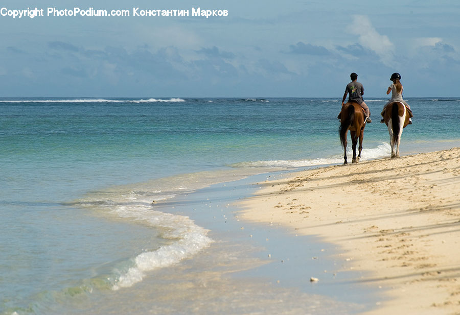 Beach, Coast, Outdoors, Sea, Water, Leisure Activities, Ocean