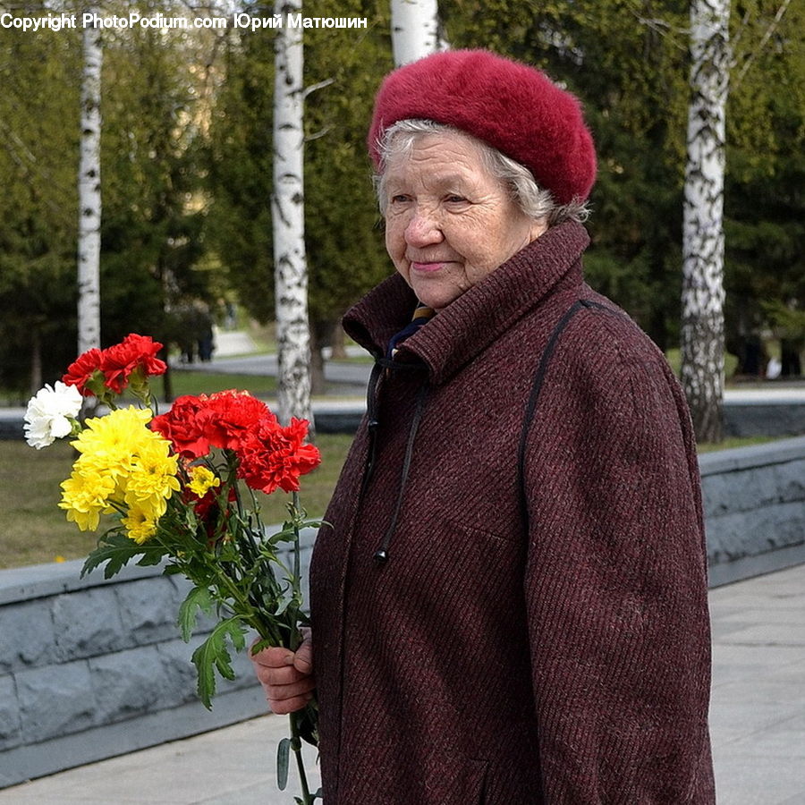 Human, People, Person, Plant, Potted Plant, Blossom, Carnation