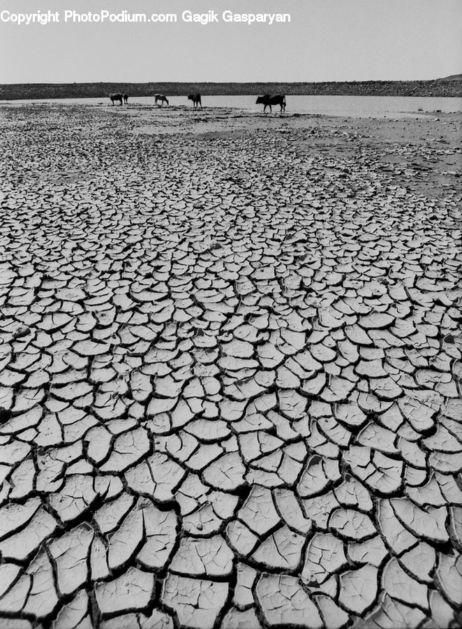 Soil, Ground