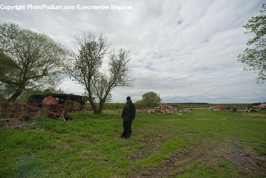Field, Grass, Grassland, Land, Outdoors, Countryside, Rural