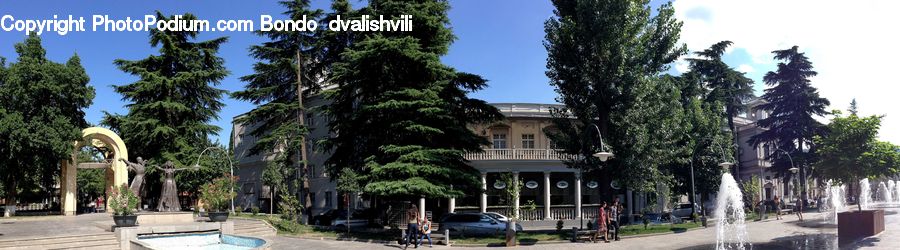 Plant, Tree, Architecture, Downtown, Plaza, Town Square, Conifer